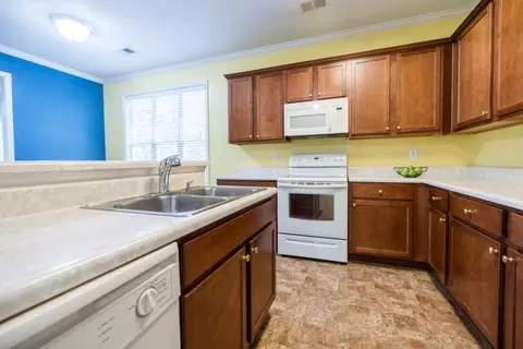 21 Weeping Willow Ct, Hampton, GA 30228 photo 14