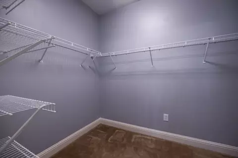 21 Weeping Willow Ct, Hampton, GA 30228 photo 24