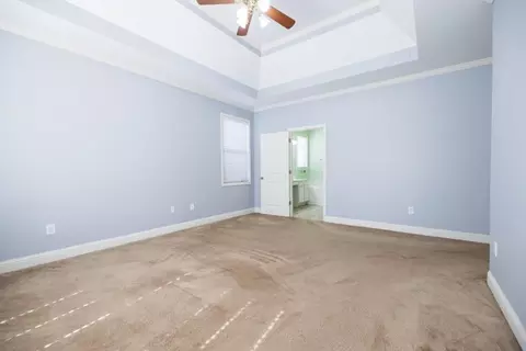 21 Weeping Willow Ct, Hampton, GA 30228 photo 19
