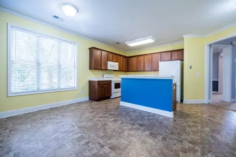 21 Weeping Willow Ct, Hampton, GA 30228 photo 17