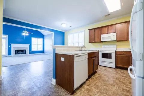 21 Weeping Willow Ct, Hampton, GA 30228 photo 15
