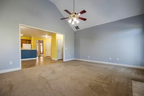 21 Weeping Willow Ct, Hampton, GA 30228 photo 13