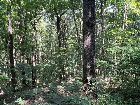 0 Nottingham Way, Fairmount, GA 30139 photo 4