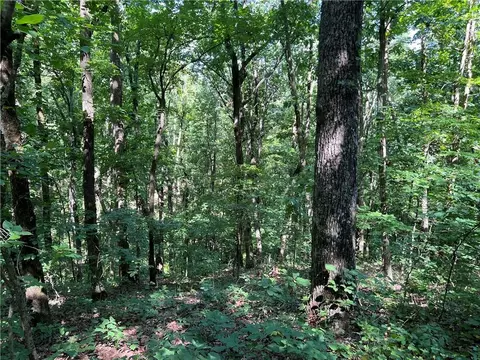 0 Nottingham Way, Fairmount, GA 30139 photo 3