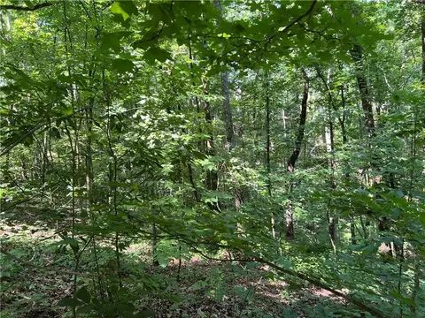 0 Nottingham Way, Fairmount, GA 30139 photo 6