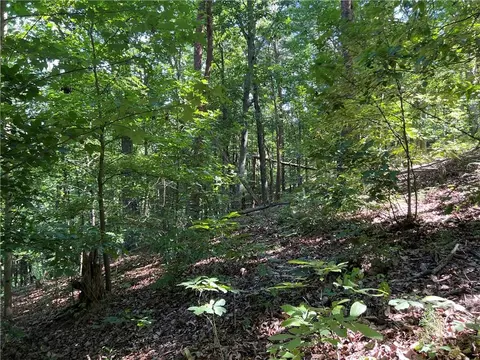 0 Nottingham Way, Fairmount, GA 30139 photo 9
