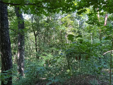 0 Nottingham Way, Fairmount, GA 30139 photo 7