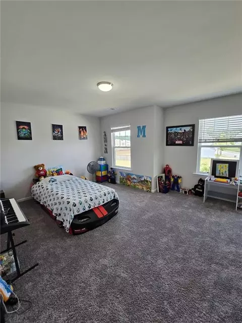 3481 Emmet Rd, Bethlehem, GA 30620 photo 14