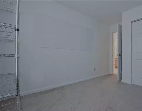 164 Dodgen Place Dr, Hampton, GA 30228 photo 51