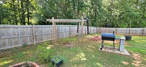 164 Dodgen Place Dr, Hampton, GA 30228 photo 57
