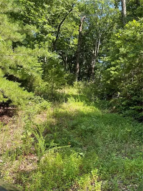 80 Sharp Mountain Parkway Rd, Jasper, GA 30143 photo 3