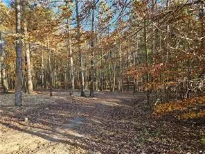 lot1 Old Mill Ct, Canton, GA 30115