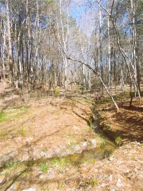 4853 Steadman Rd, Buchanan, GA 30113 photo 52