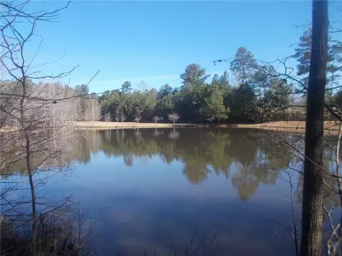 4853 Steadman Rd, Buchanan, GA 30113 photo 59