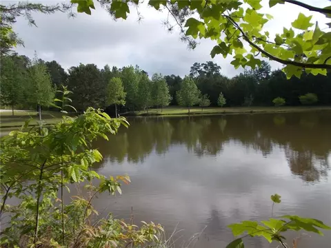 4853 Steadman Rd, Buchanan, GA 30113 photo 53