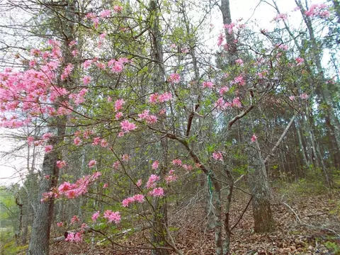 4853 Steadman Rd, Buchanan, GA 30113 photo 50