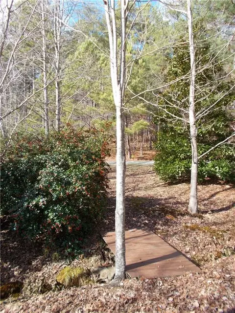 4853 Steadman Rd, Buchanan, GA 30113 photo 57