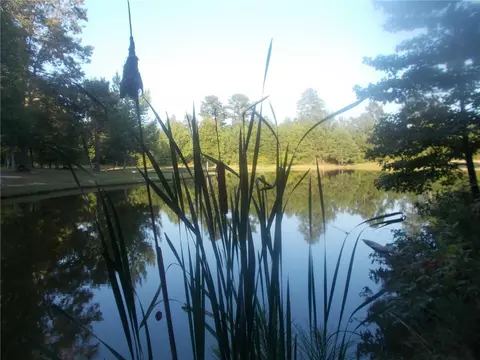 4853 Steadman Rd, Buchanan, GA 30113 photo 58