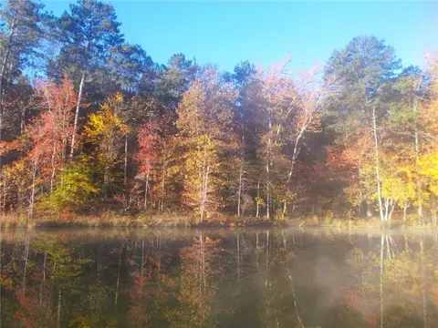 4853 Steadman Rd, Buchanan, GA 30113 photo 55