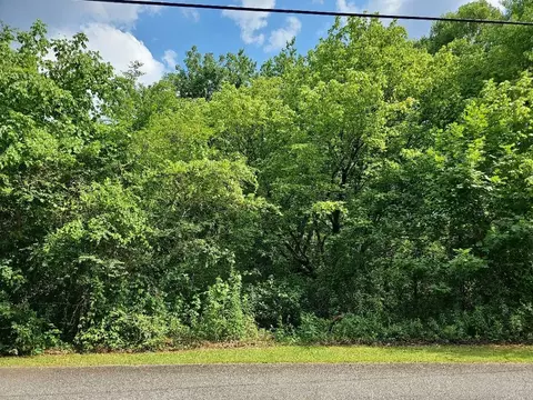 0 Ivy Dr, Ellijay, GA 30540