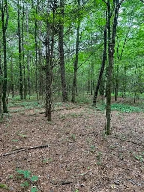 0 Fish Creek Rd, Cedartown, GA 30125