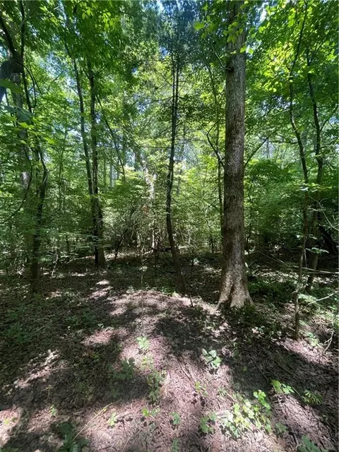 0 Tyler Dr, Talking Rock, GA 30175 photo 5