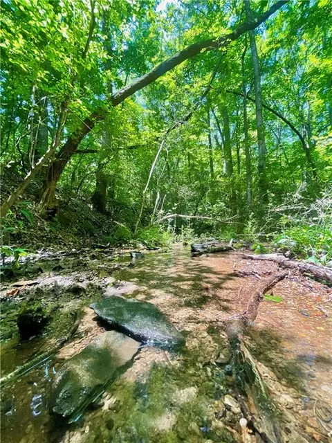 0 Tyler Dr, Talking Rock, GA 30175 photo 4