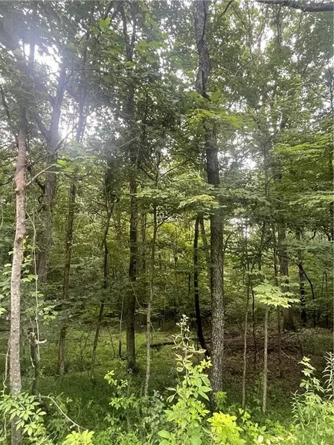 0 Tyler Dr, Talking Rock, GA 30175 photo 2