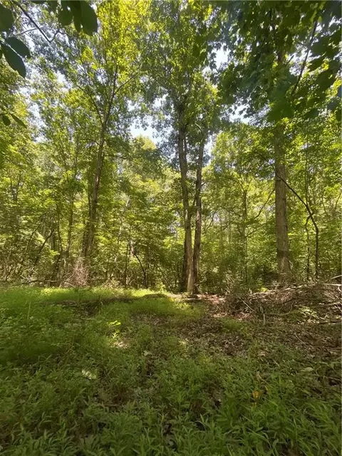 0 Tyler Dr, Talking Rock, GA 30175 photo 7