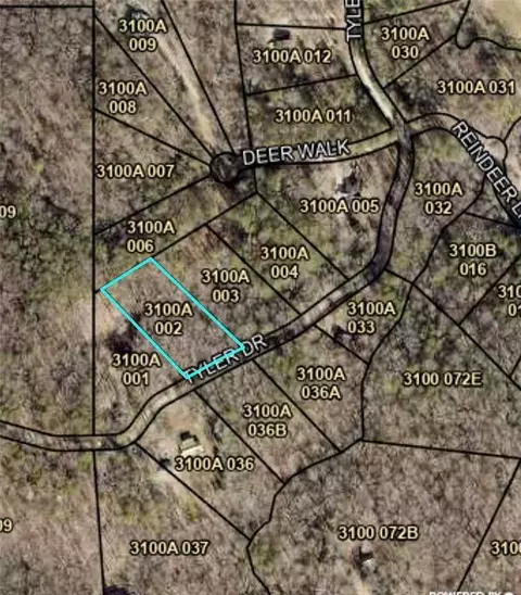0 Tyler Dr, Talking Rock, GA 30175 photo 3