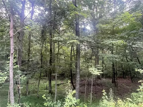 0 Tyler Dr, Talking Rock, GA 30175