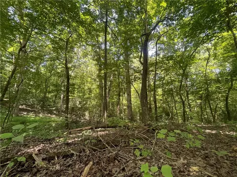 0 Tyler Dr, Talking Rock, GA 30175 photo 6