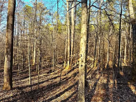 0 Mud Green Rd, Temple, GA 30179 photo 6
