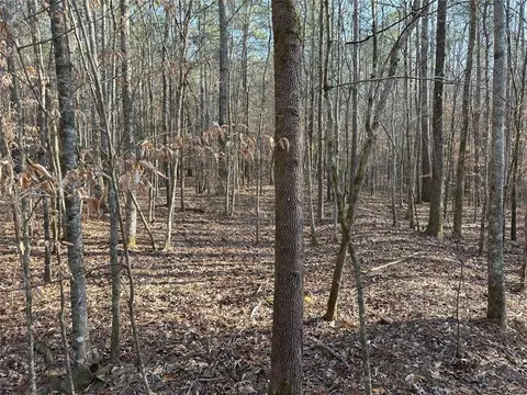 0 Mud Green Rd, Temple, GA 30179 photo 11