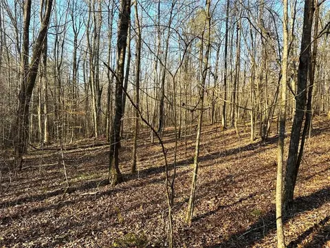 0 Mud Green Rd, Temple, GA 30179 photo 2
