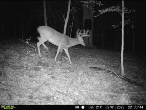0 Mud Green Rd, Temple, GA 30179 photo 15