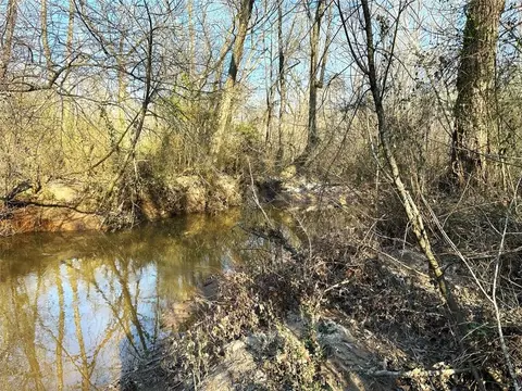 0 Mud Green Rd, Temple, GA 30179 photo 8