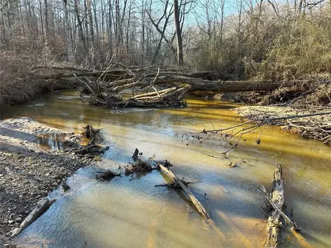 0 Mud Green Rd, Temple, GA 30179 photo 9