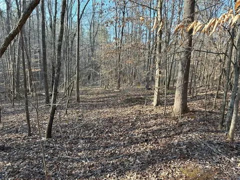 0 Mud Green Rd, Temple, GA 30179 photo 12