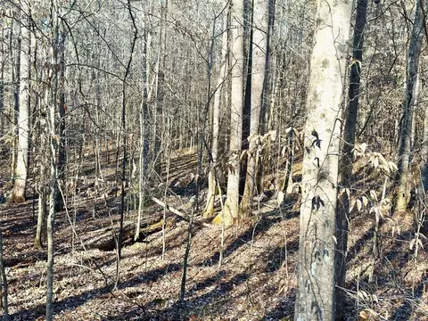 0 Mud Green Rd, Temple, GA 30179 photo 7