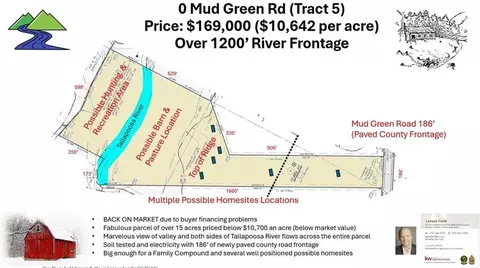 0 Mud Green Rd, Temple, GA 30179 photo 4