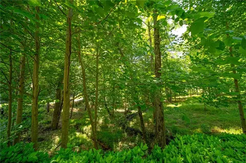 1690 Redd Rd, Milton, GA 30004 photo 20