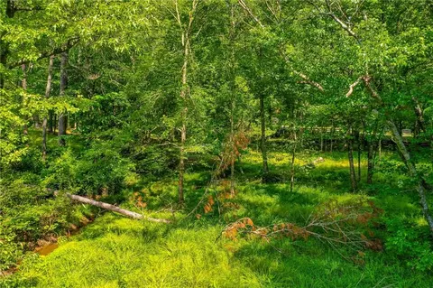 1690 Redd Rd, Milton, GA 30004 photo 13