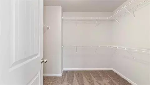 300 Denton Way, Hampton, GA 30228 photo 21