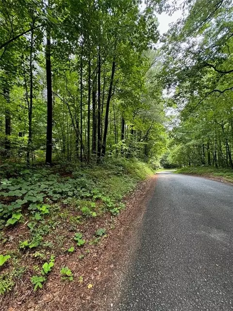 1 Wildlife Ridge Rd, Talking Rock, GA 30175