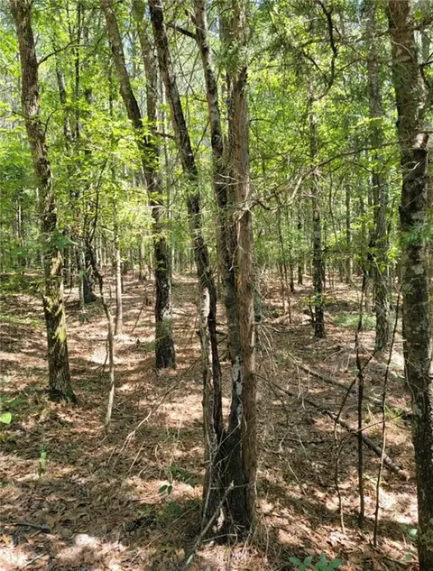 0 Youngs Mill Rd, Kingston, GA 30145