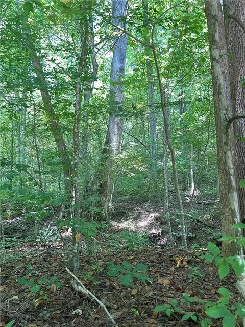 Na Rambling Road, Fairmount, GA 30139