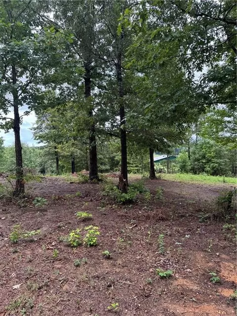 0 Spring Place Rd, White, GA 30184 photo 14