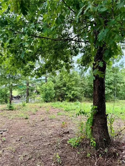 0 Spring Place Rd, White, GA 30184 photo 20