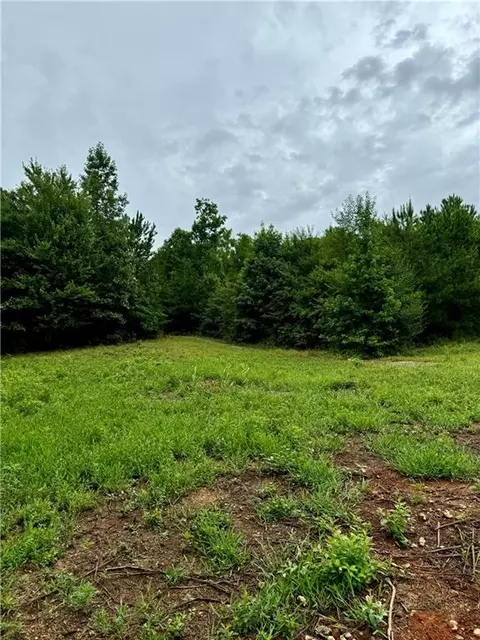 0 Spring Place Rd, White, GA 30184 photo 18